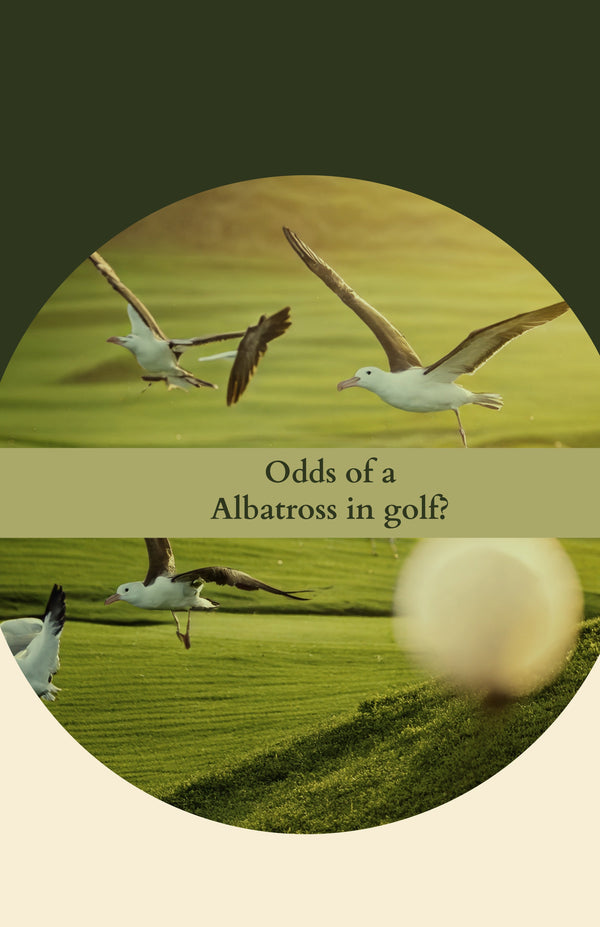 What Are the Odds of an Albatross in Golf? (And 5 Things That Are Actually More Likely to Happen)