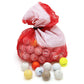 Shag golf balls in a red and white mesh bag on a white backdrop