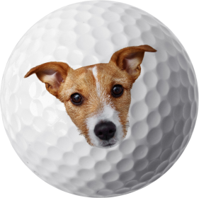 12 Pet Golf Balls